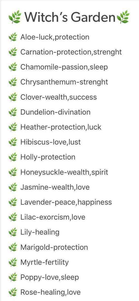 Would it be a deal breaker if your partner was into witchcraft?