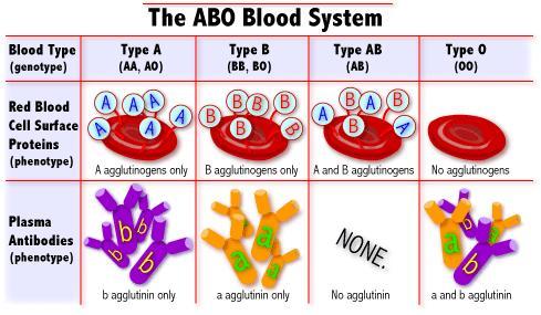 A+ blood is garbage, as well as common. B+ isn't to donate, but is strong.