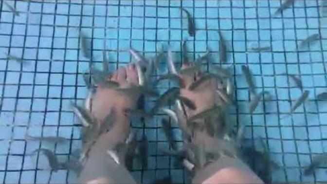 Creative date idea... would it be fun date to get a "fish" pedicure?