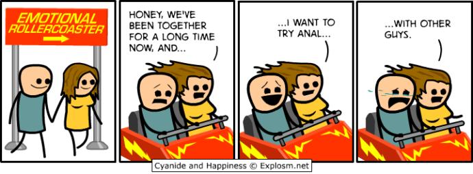 What does a roller coaster relationship mean?