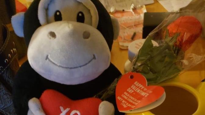 Would this be an okay Valentines gift?