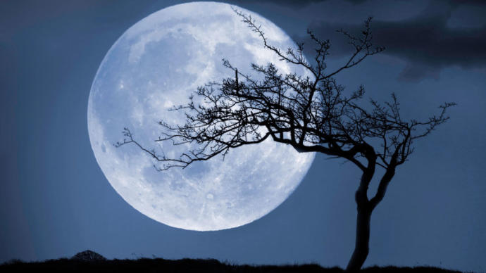As we know, the moons surface reflects the light from the sun. So which one would you choose?