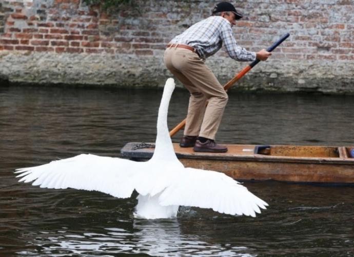 Are you afraid of any animals?