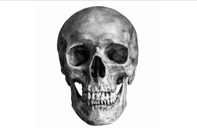 How likely do you think it is that climate change will cause the extinction of the human race?