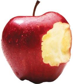If eve ate the apple, why do men have an adams apple?