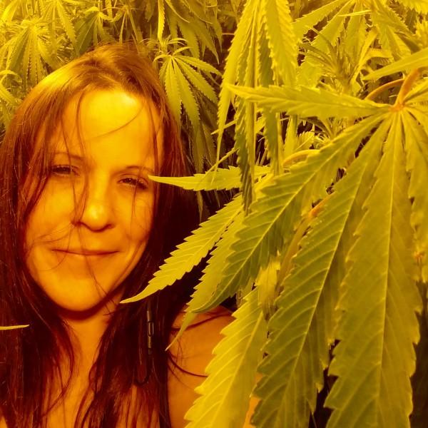 Are you for marijuana or against... why or why not?
