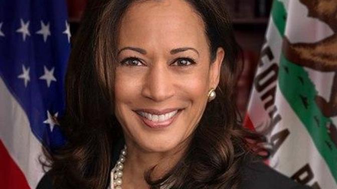 American Women, are you celebrating Kamala Harris as the first woman VP?