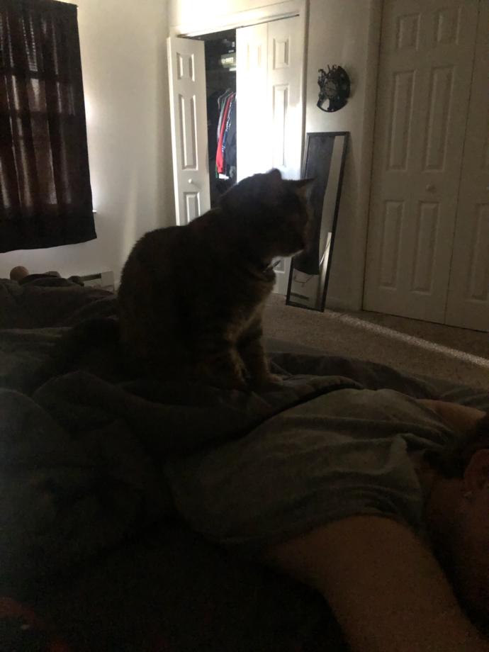 Is it normal for girls to cuddle their guy friends or do they want to be more than friends?