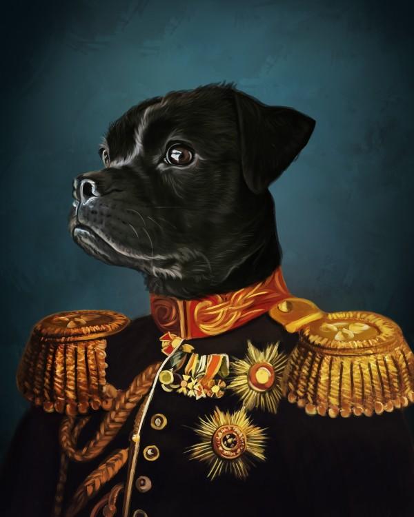 Which frame for my dogs portrait? Square or oval?