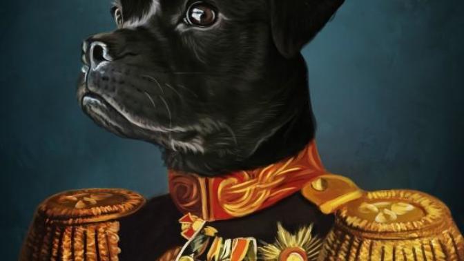 Which frame for my dogs portrait? Square or oval?