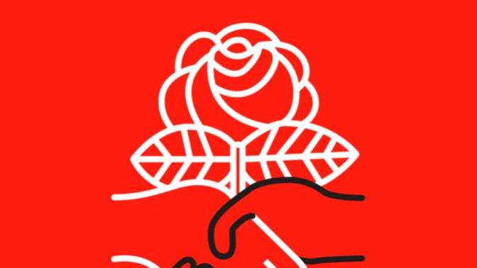 What do you think the difference between democratic, market and libertarian socialism is?