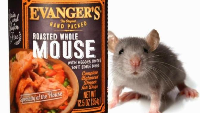 Why is there no rat flavored cat food?