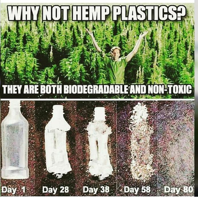 Should we open up hemp farming to create alternative to fossil based plastics?
