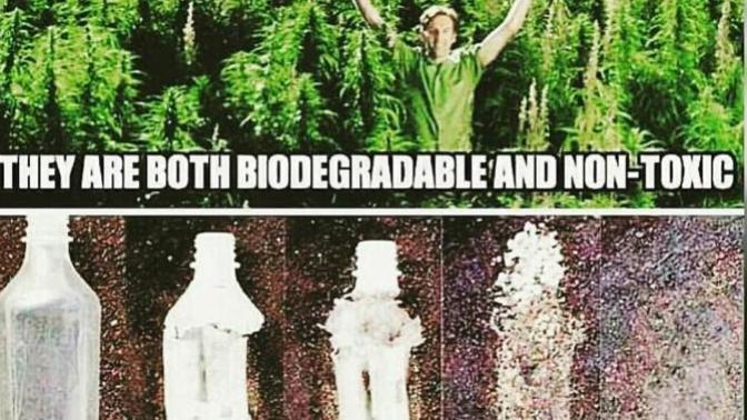 Should we open up hemp farming to create alternative to fossil based plastics?