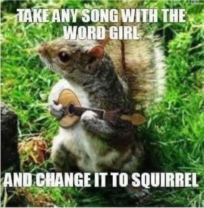 Take any song with the word Girl in it and change it to squirrel Lets see how many funny 😂 ones we can get?