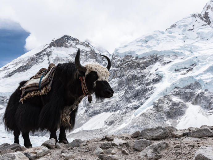 If a man dies doing extreme sports or on a dangerous mountain climb like Everest, is it a tragedy?