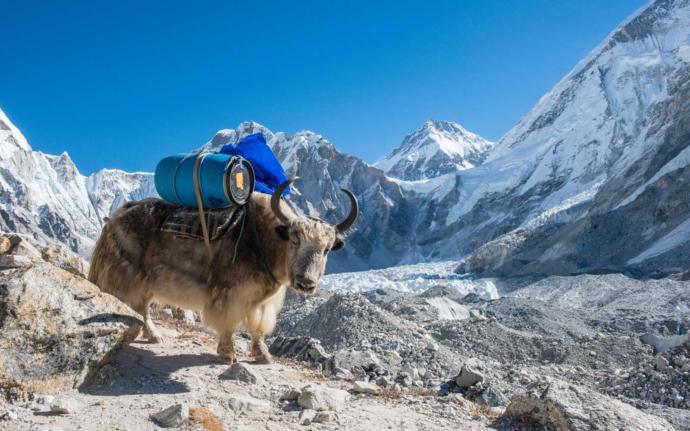 If a man dies doing extreme sports or on a dangerous mountain climb like Everest, is it a tragedy?