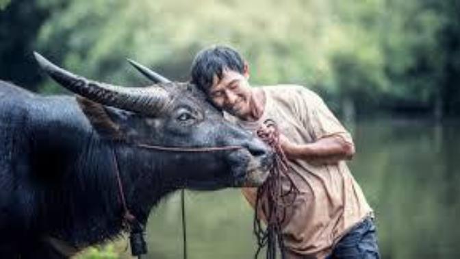 What gives humans higher ethical values than animals?