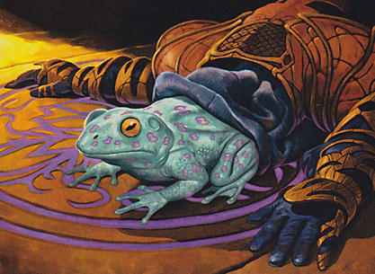 What would YOU do if your partner turned into a toad?