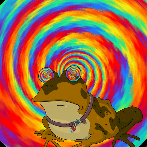 What would YOU do if your partner turned into a toad?