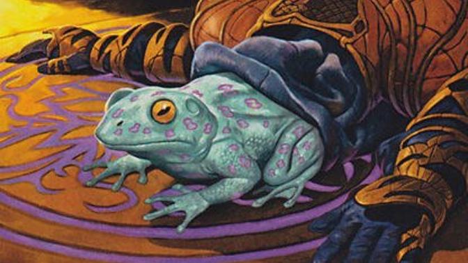 What would YOU do if your partner turned into a toad?