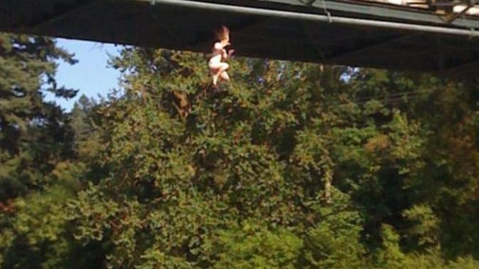 Did anyone ever tell you to go jump off a bridge?