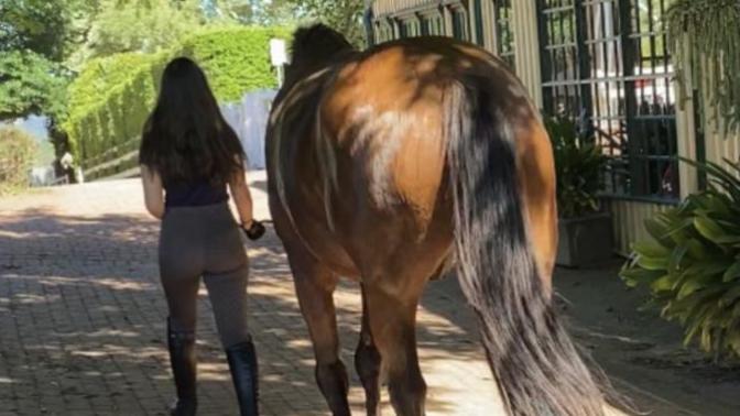 Is horse riding a sport?
