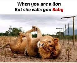 Guys do you hate it when a girl calls you pet names?