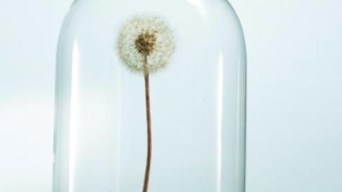 Has the world gone soft?