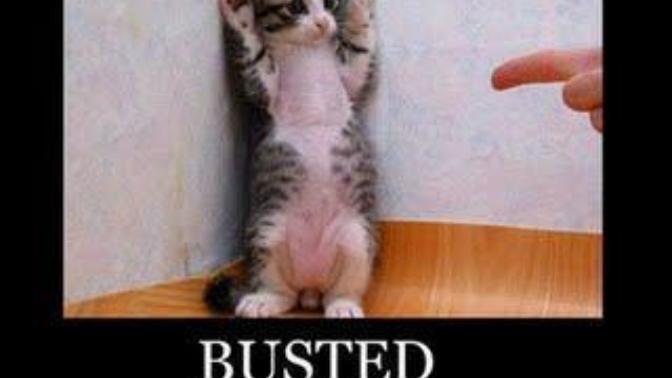 Would it be a deal breaker for you if you dated someone who told you they cheated on a partner in their teens?