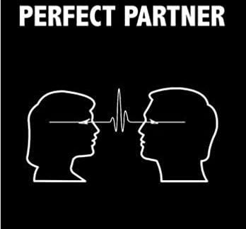 Is the idea of a perfect partner imaginary?