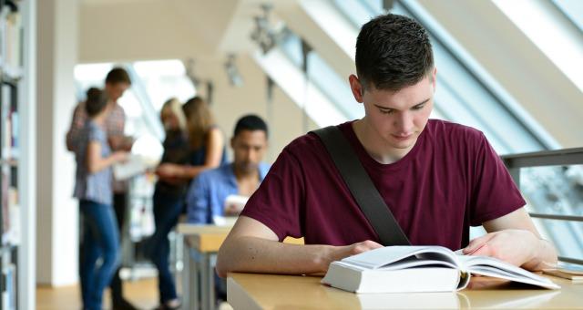 How long should I study my drivers handbook each day?
