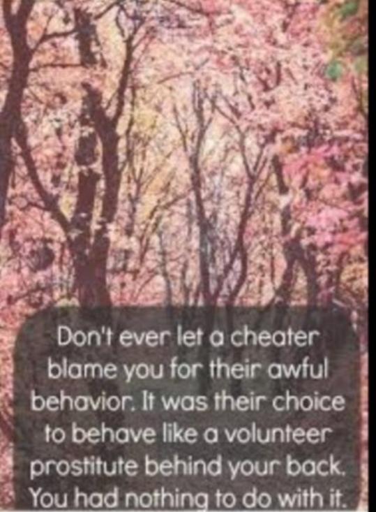 Why is it everyone else's fault for the cheater's infidelity?