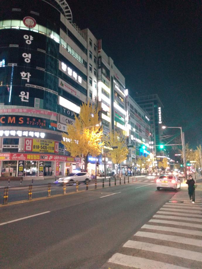 Which South Korean city would you most want to live in?