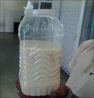 What do you think old pee and milk taste like?