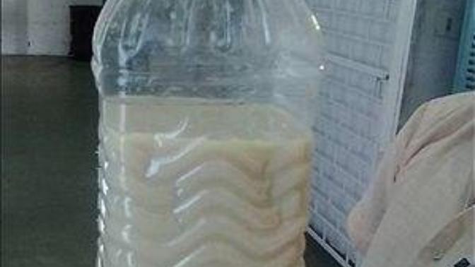 What do you think old pee and milk taste like?