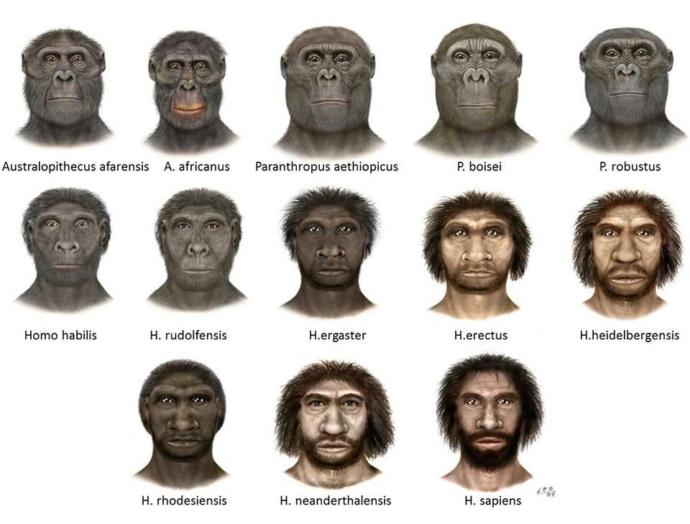 Do you believe in evolution?