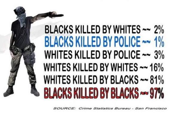 By the numbers - - - -