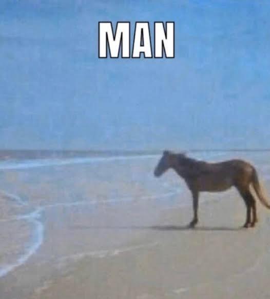 Girls who hate men, can you please explain why?