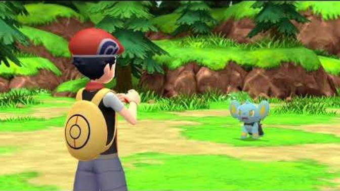 What do you think about the Pokemon Diamond and Pearl remakes?