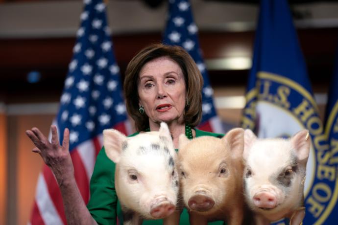 Would you rather there was no pork packed into the Covid relief bill?