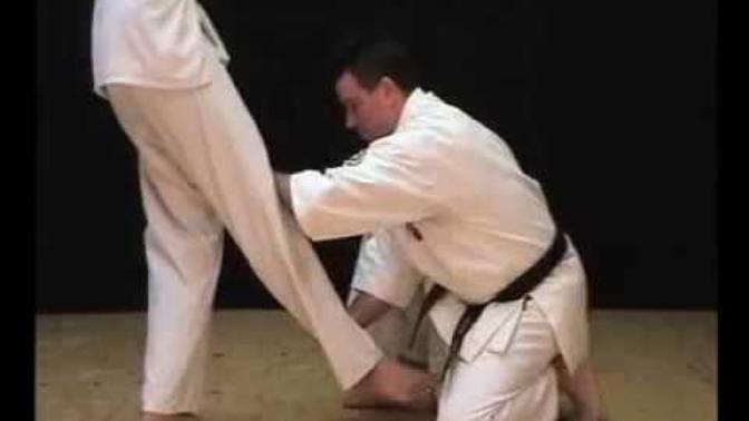 Isshinryu Karate Kusanku Kata meaning. What do you think?