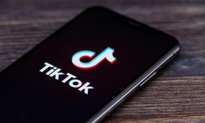 Would you lose respect for someone if they were constantly posting tiktoks?