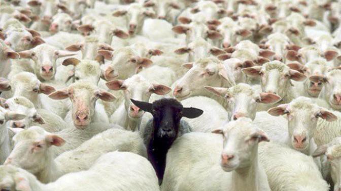 Do you feel that you are significantly different from your contemporaries? Do you not quite belong or fit in?