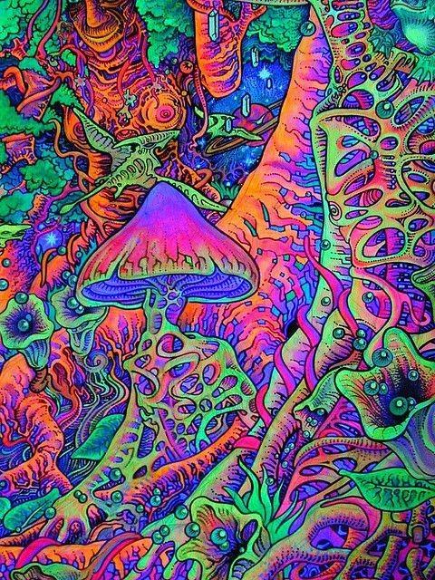 Have you ever taken psychedelics? If so what has been your experience?