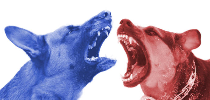 Politics is driven by tribalism, can’t you see?