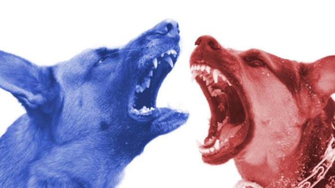 Politics is driven by tribalism, can’t you see?