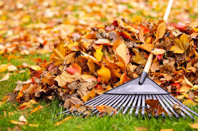 Would You Rather Pull Weeds, Rake Leaves, Shovel Snow Or Pick Your Nose & Eat It?