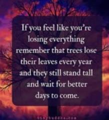 How Many Times Can You Survive Losing Everything In One Lifetime?