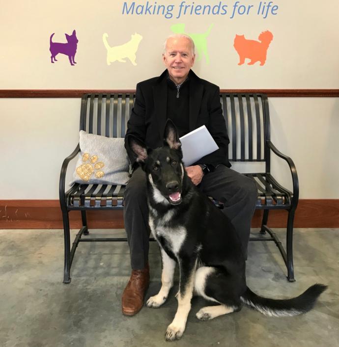 Joe & Major. Major bit a member of the security team. Now there are no dogs in the White House. Is this fair? VOTE BELOW!